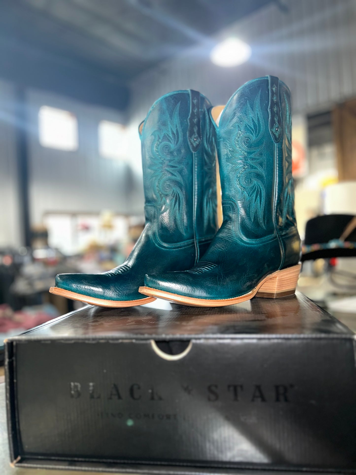 Black Star Paradise in Laguna Blue