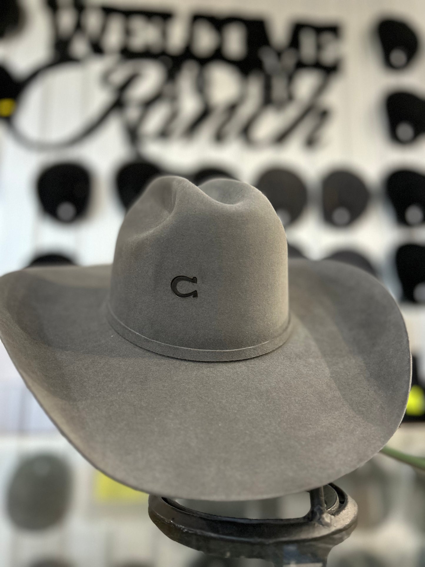 Charlie 1 Horse “The Champ”