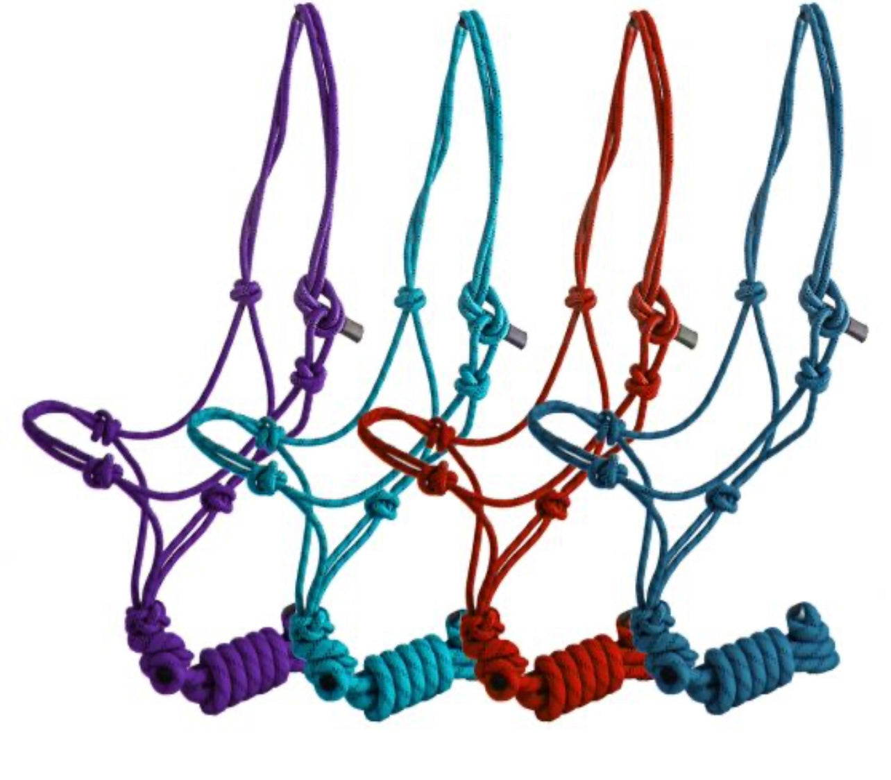 Horse Size Cowboy Knot Halter with Matching 8' Lead