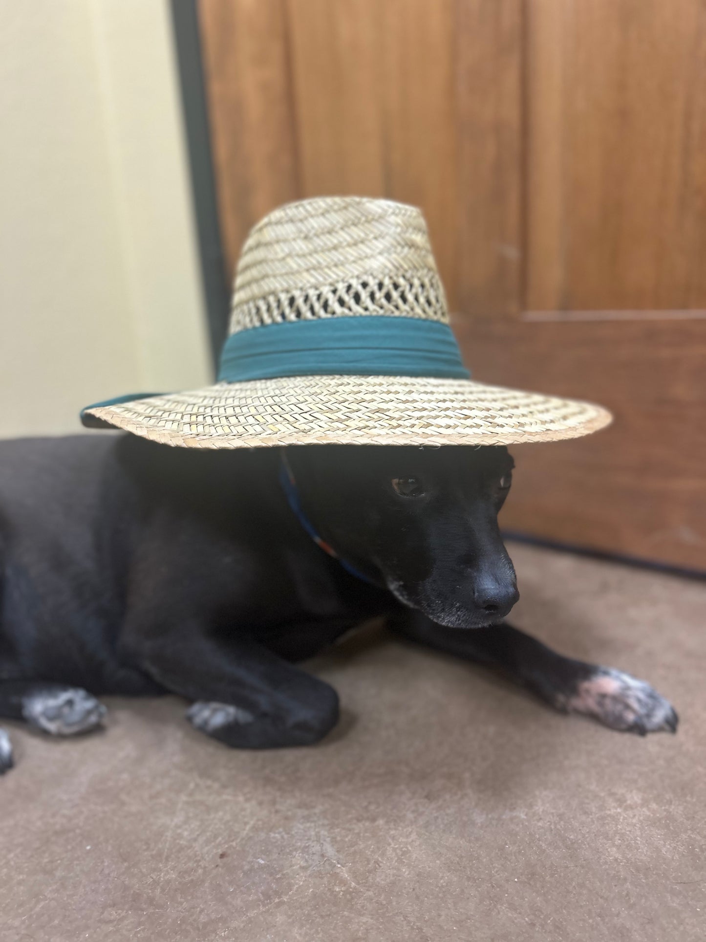 Summer Hats