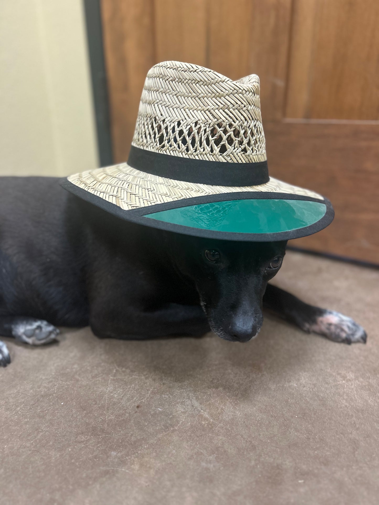 Summer Hats