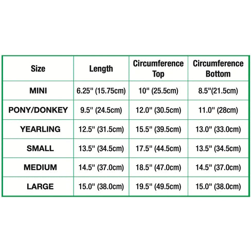 Shoofly Leggins 4-Pack - Medium