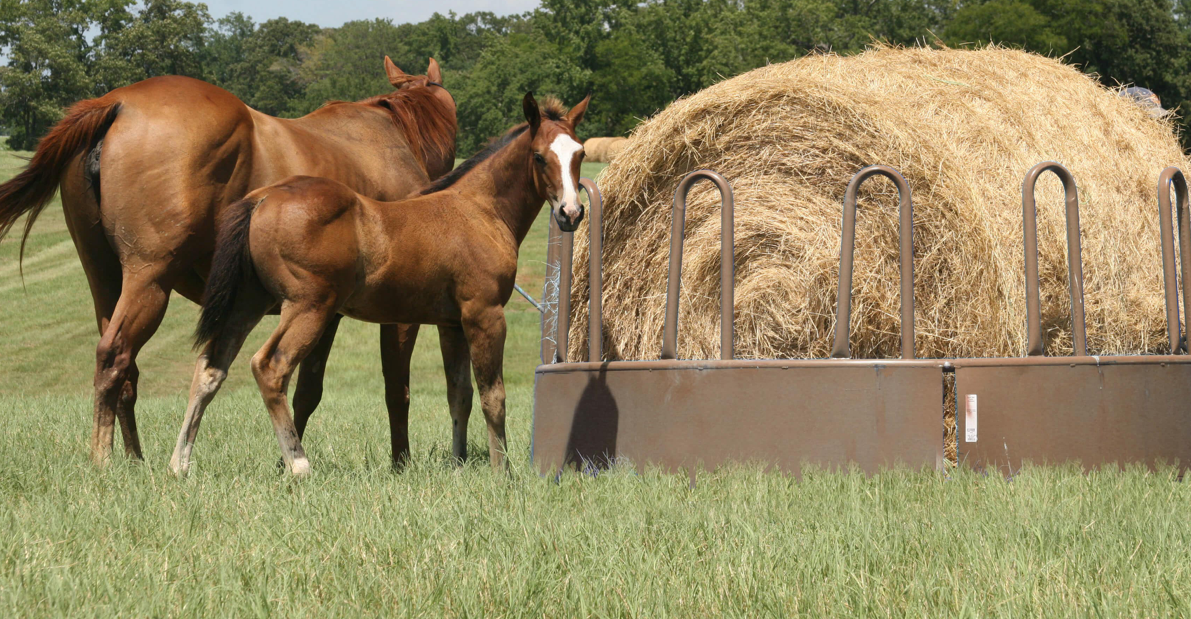 Priefert Tombstone Feeder