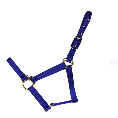 Econo Halter 1-20Q - Pony