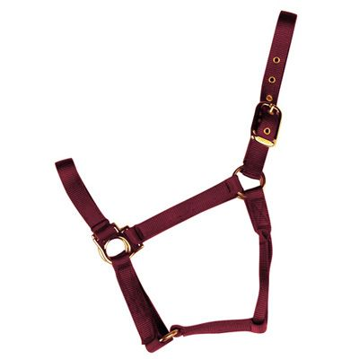 Econo Halter 2-30Q - Colt