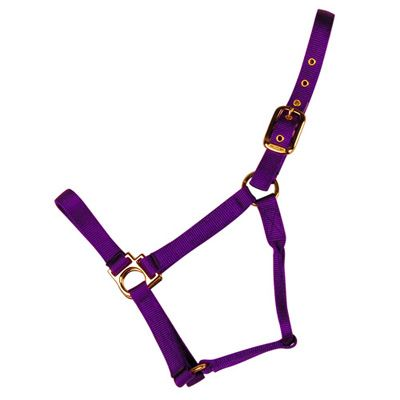 Econo Halter 3-50Q - Yearling