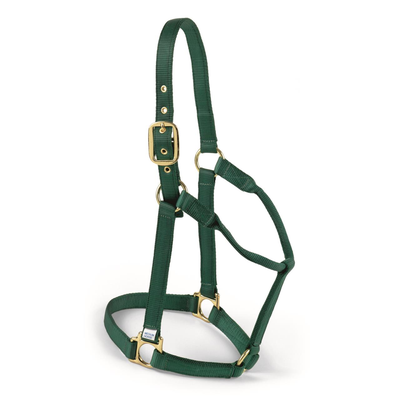 Econo Halter 5-80Q Small