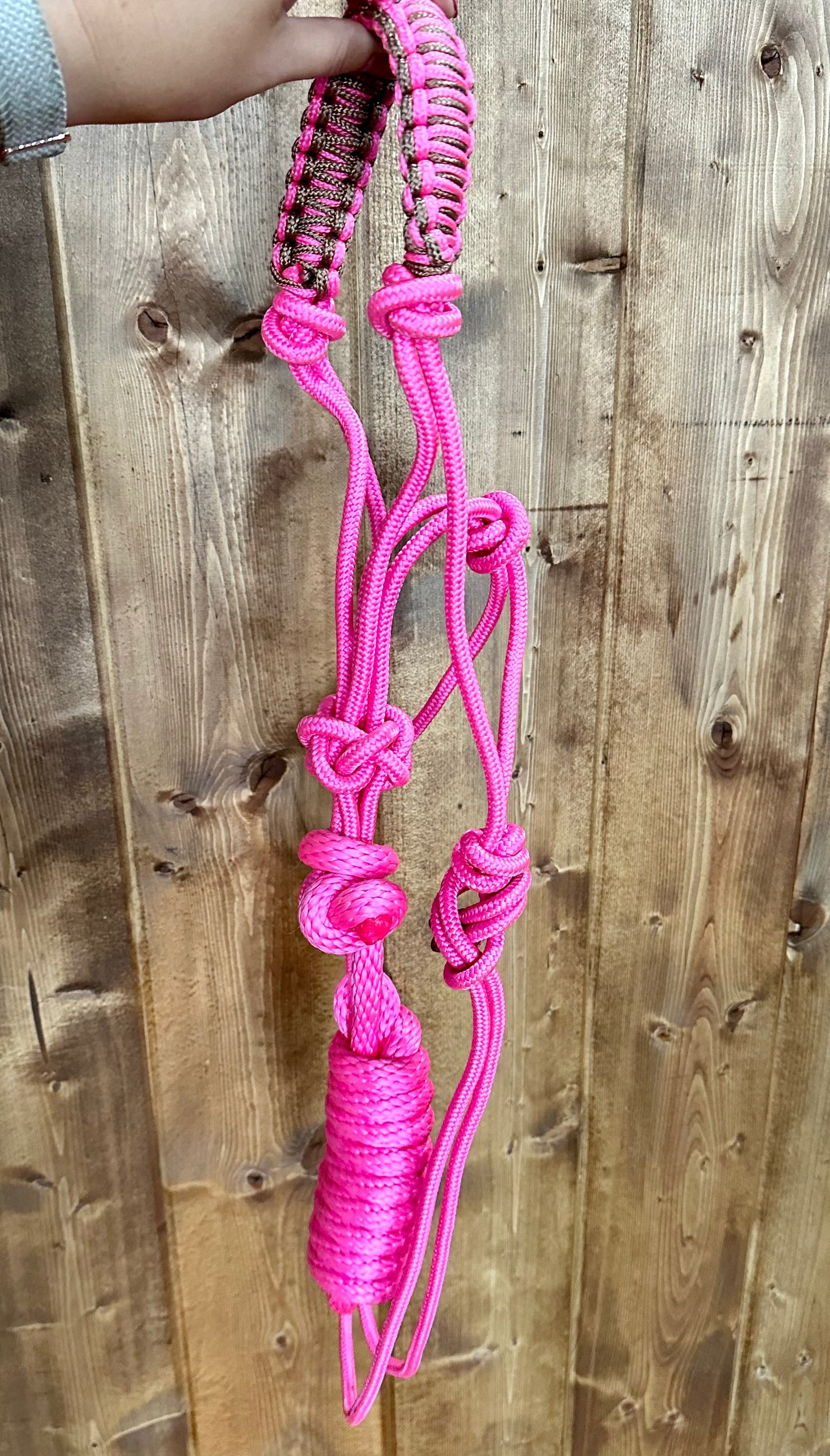 Rope Halter w/ Lead