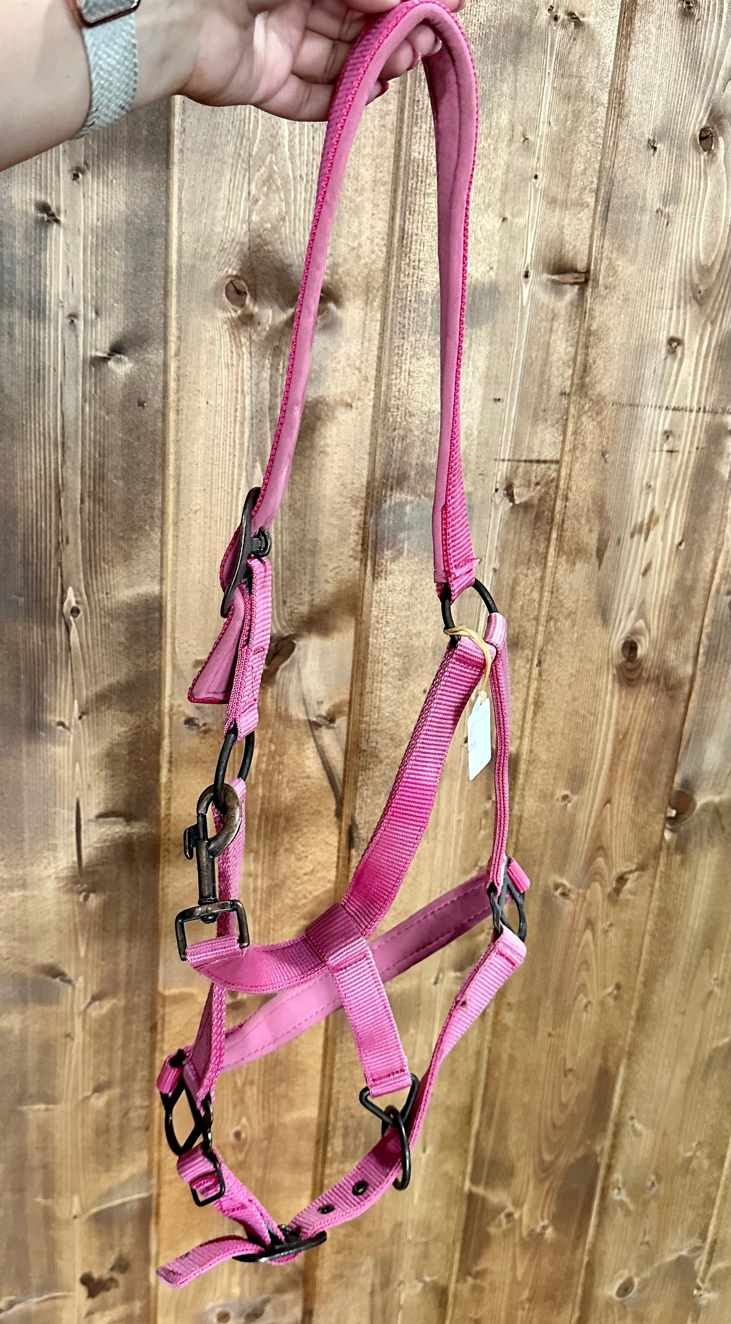 Nylon Halter