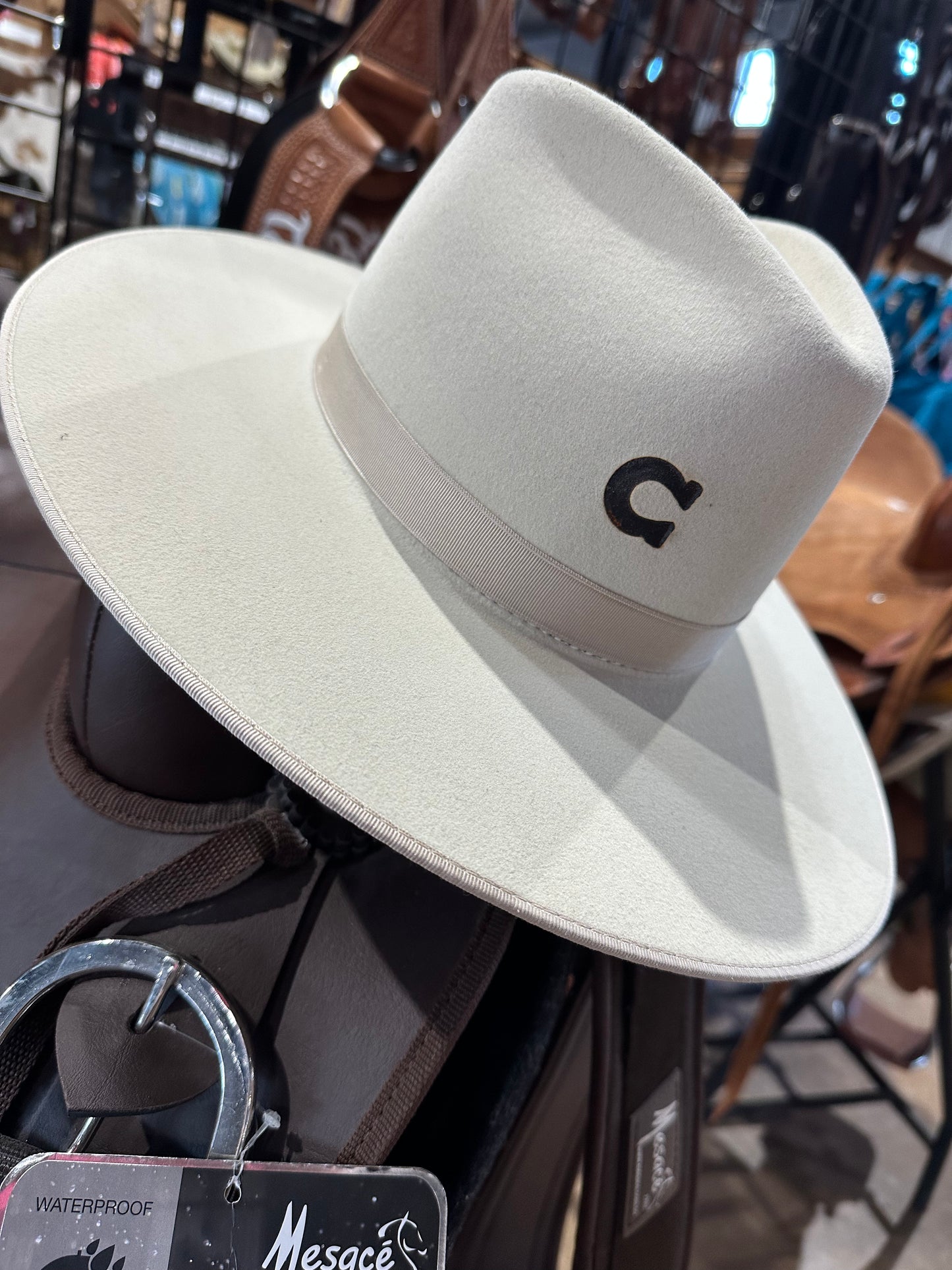 Charlie 1 Horse - Desert Drifter Bone