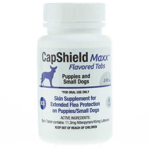 Capshield Maxx Chewable Dog 2-10lb 6ct