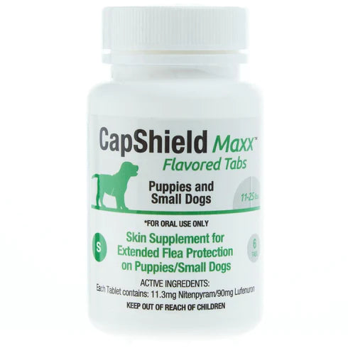 Capshield Maxx Chewable Dog 11-25lb 6ct