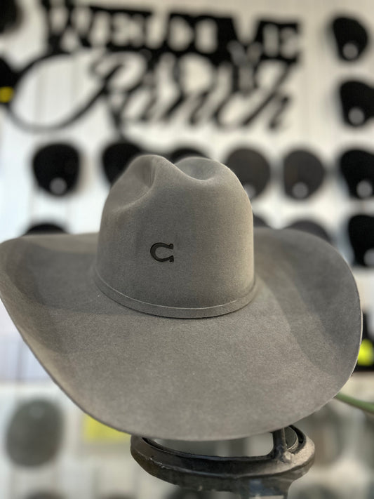 Charlie 1 Horse “The Champ”