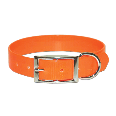 Dog Collar Dayglo Orange - Various Sizes
