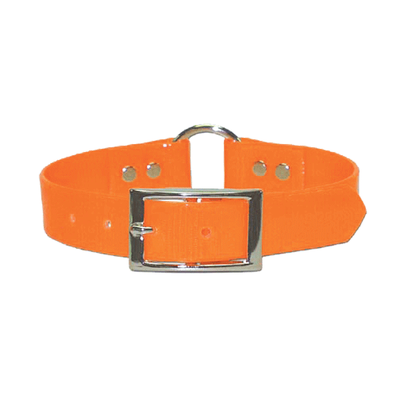 Dog Collar Dayglo Orange - R-I-C