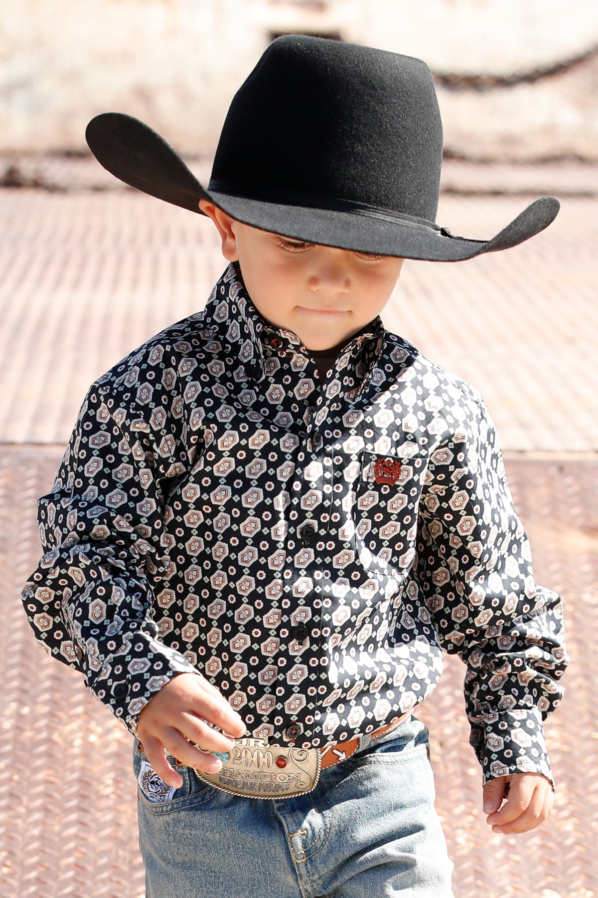 Toddler Long Sleeve Print Button Up