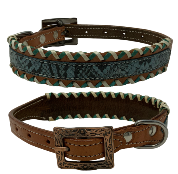 Showman Couture Teal Python Leather Dog Collar