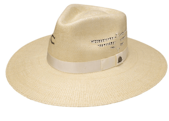 Charlie 1 Horse- Mexico Shore 96