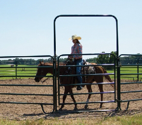 Priefert Economy Round Bowgate 6x9- Black