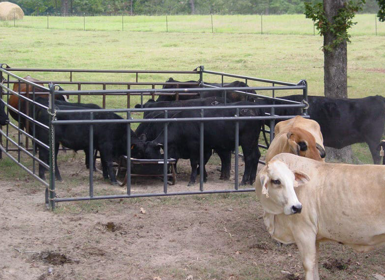 Priefert 12' Premier Calf Pass Panel