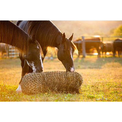 Texas Haynet Square Bale Net