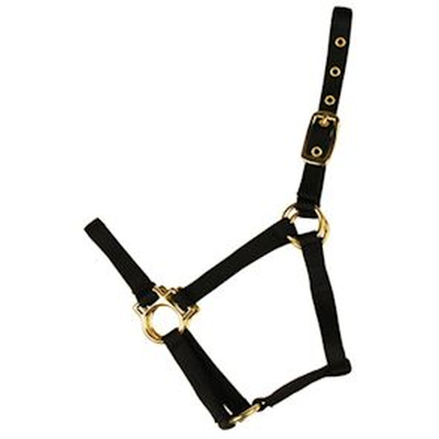 Econo Halter 2-30Q - Colt