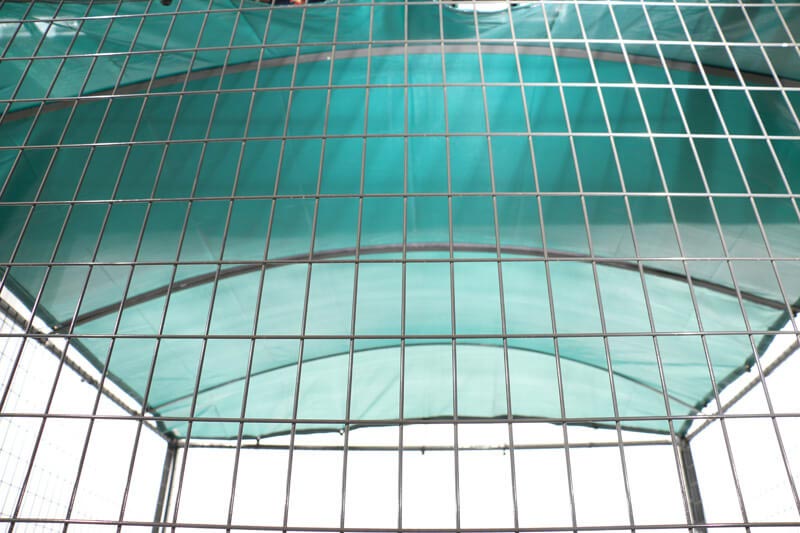 Priefert Kennel Shade 10' X 10' Green