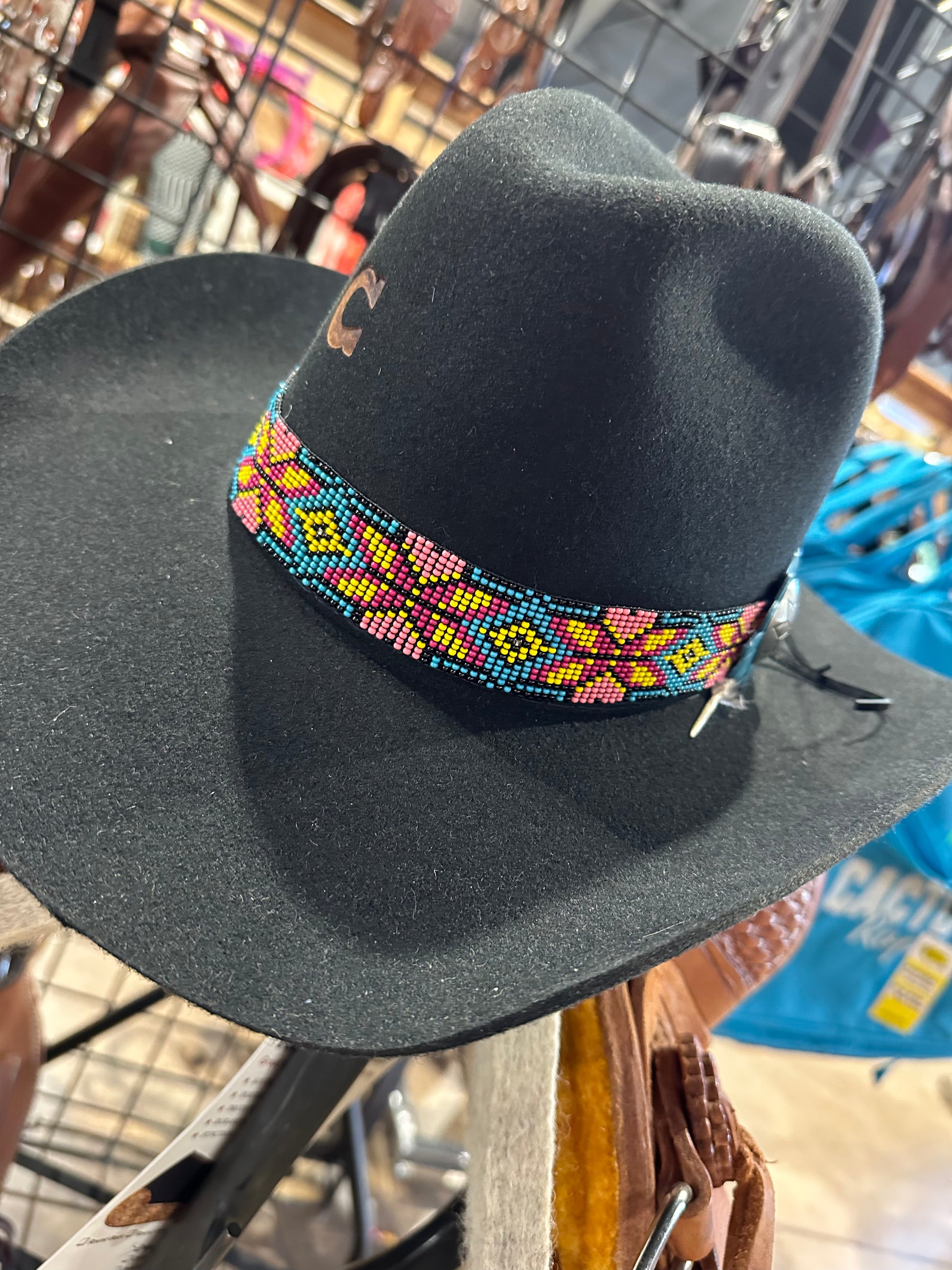 Charlie 1 Horse Gold Digger Black